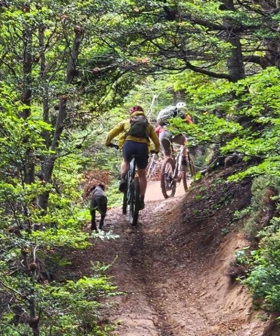 RidePatagonia