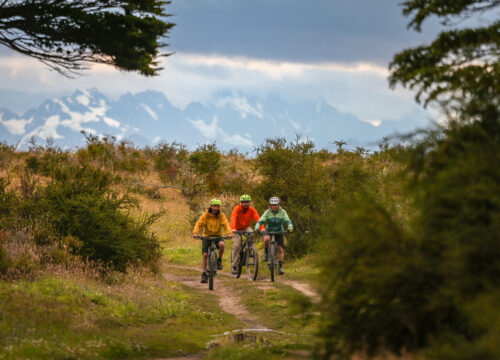 FULLDAY/HALFDAY PORVENIR – Tierra del fuego