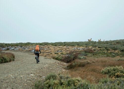 FULLDAY/HALFDAY PORVENIR – Tierra del fuego