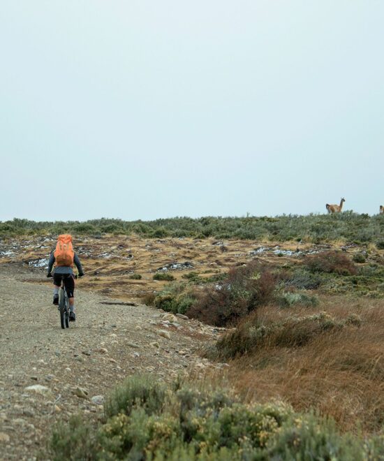 RidePatagonia