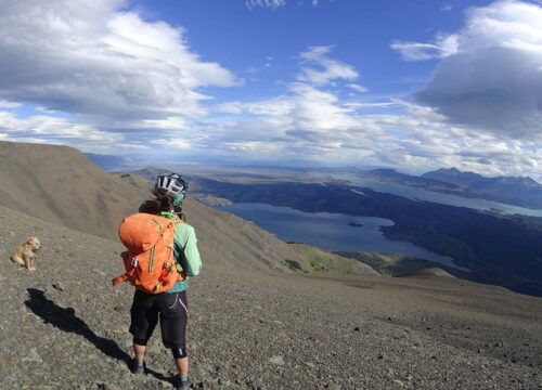 FULLDAY/HALFDAY PUERTO NATALES – ¿Has vivido el paleomundo?